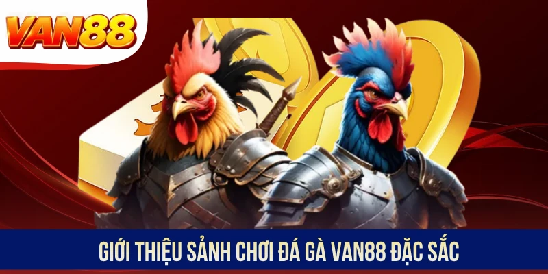 Giới thiệu sảnh chơi đá gà VAN88 đặc sắc
